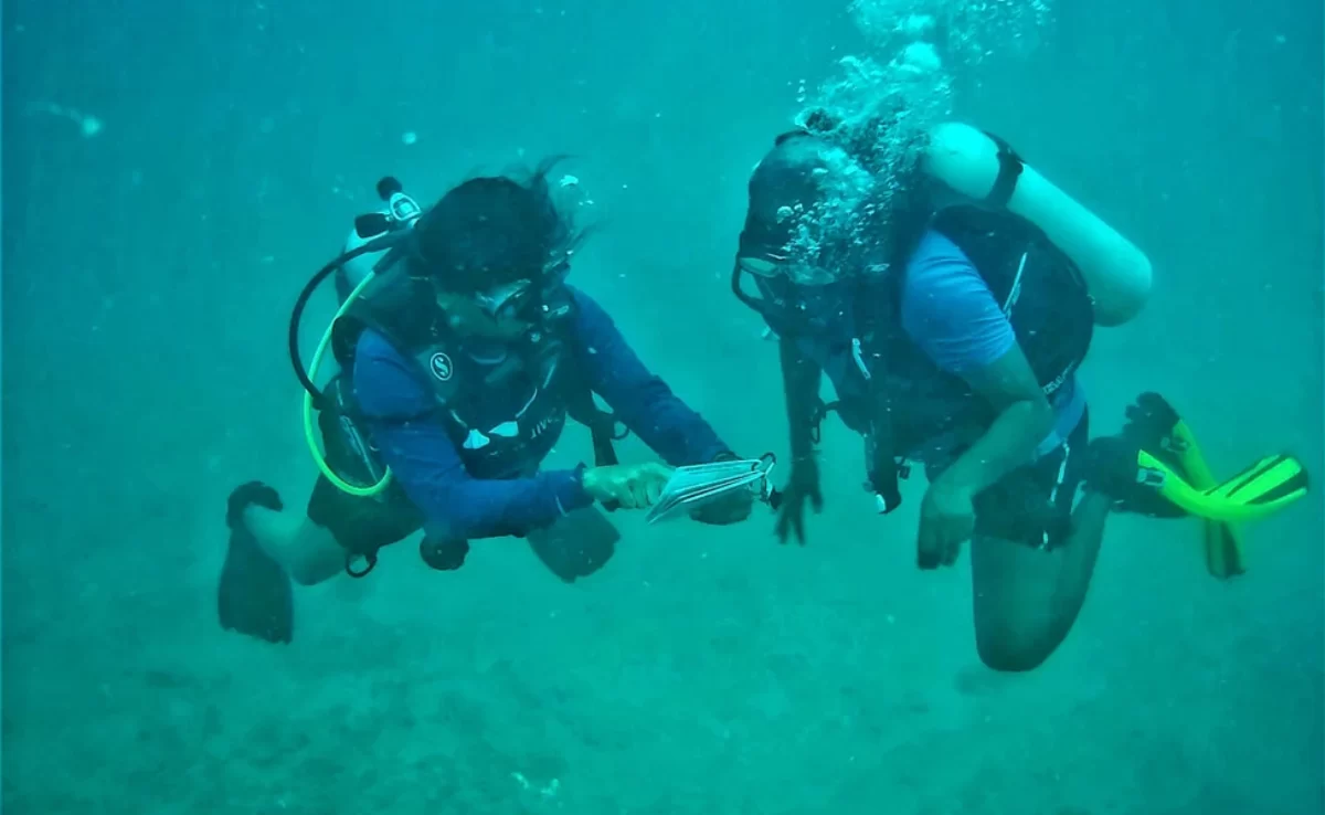 Scuba Diving Experience in a Private Island in Goa, India - Klook Canada