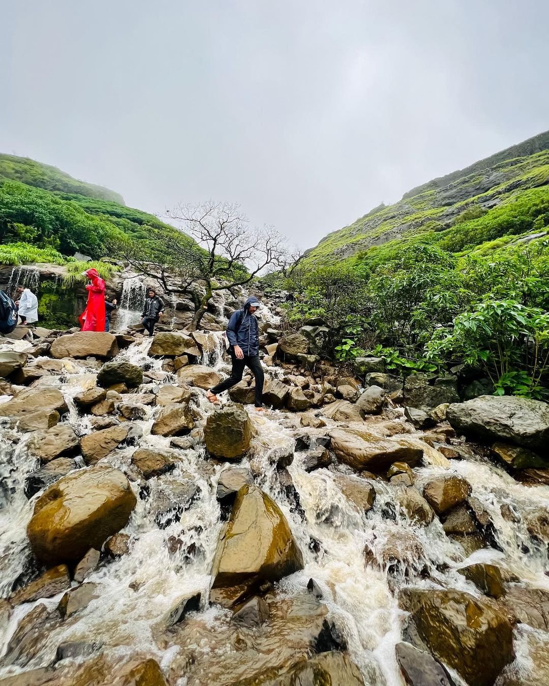 visapur fort trek height