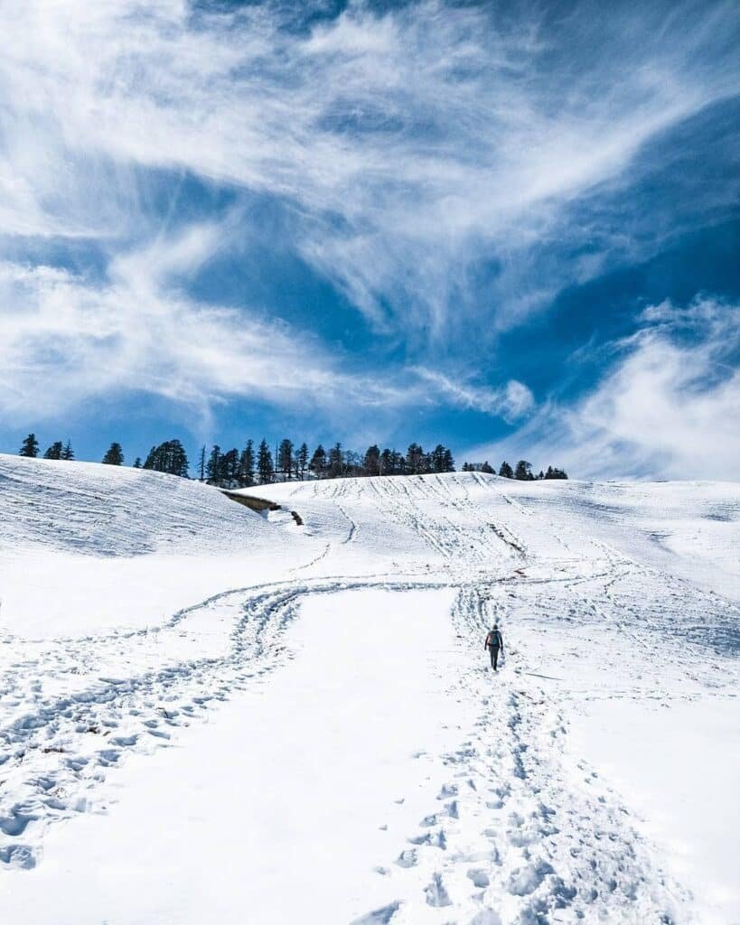 Trekker on the snow trail of the Dayara Bugyal trek